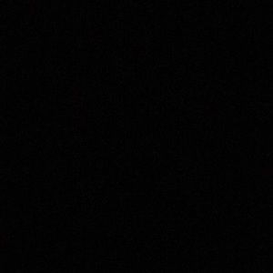 Meet your Posher, Everett